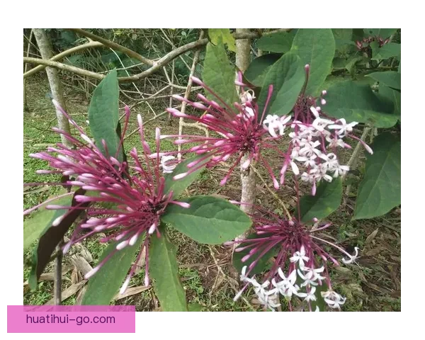 埃贝尔谈马德里之行：从缺乏勇气到带着好心情出发的心路历程